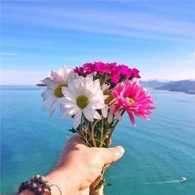 流浪者弗兰肯斯坦的生物最新版下载