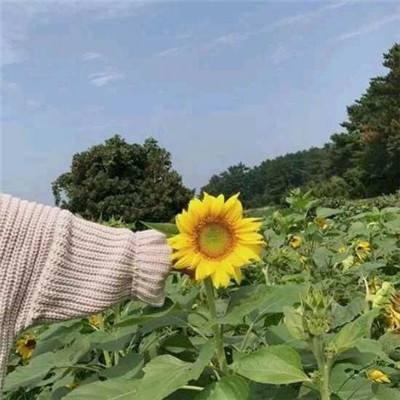 一起消消乐原版下载