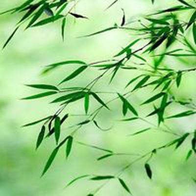 我在三国当皇帝无限元宝破解版下载