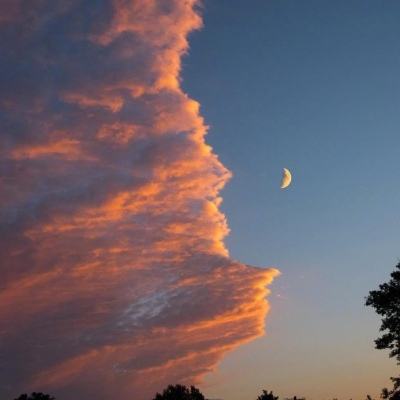 魔灵契约破解版下载